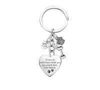 Hgreiwgk Loss of Pet Keyring Dog Memorial Gifts Sympathy Gifts for Dogs Remembrance Gifts Pet Dog Lover Jewelry