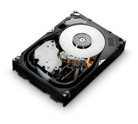 HGST 450G SS 15000RPM 16M