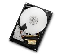 HGST, a Western Digital Company Hitachi Ultrastar 0B26312 HUS723020ALS640 Internal Hard Drive 7K3000 2 TB
