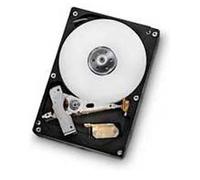HGST Deskstar 7K1000.D 3.5 Inches 500 GB Series ATA III Hard Drive - Hard Drives (3.5 Inches, 500 GB, 7200 rpm)