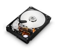 HGST HUS724020ALE640 2TB 3.5-inch SATA 7.2K RPM Internal HDD (0F14685)