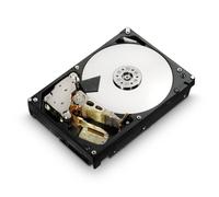 HGST HUS726060ALS640 Ultrastar HE6 3.5" 6TB 7200RPM Hard Drive Disk (0F18370)