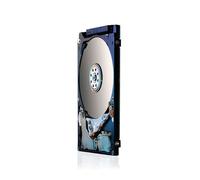 HGST Travelstar Z7K500 500 GB External