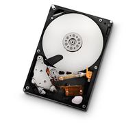 HGST Ultrastar 3.5-Inch 500GB 7200RPM SATA II 16 MB Cache Enterprise Hard Drive with 24x7 Duty Cycle (0F11000)