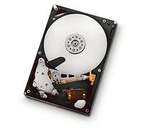 HGST Ultrastar A7 K2000 500 GB Serial ATA II