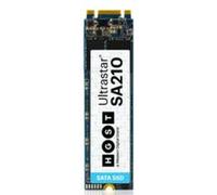 HGST WD SSD Ultrastar SA210 M.2 240 GB 240 GB - Solid State Drives (240 GB)