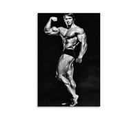 HGTERRGTJ Arnold Schwarzenegger Poster Canvas Cover Wall Art Print Aesthetic Poster Art Painting for Room 20x30inch(50x75cm) Unframe-style