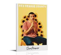 HGTERRGTJ Rex Orange County Poster Canvas Cover Wall Art Print Aesthetic Poster Art Painting for Room 24x36inch(60x90cm) Frame-style