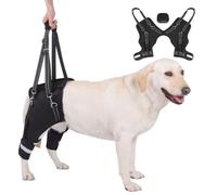 HGTRH Dog Wheelchair, Rear Support Harness with Memory Spring Mobility Aid for Senior Pets with Hip Dysplasia Arthritis Post-Surgery Recovery Adjustable & Reflective M
