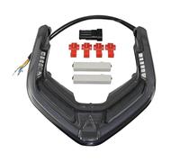hgudyr Stop Rear Tail Light Rear Tail Light Brake Turn Signals Integrated Led Stop Light For For Panigale For st&reet fi&ghter V4 V4S 2018-2022