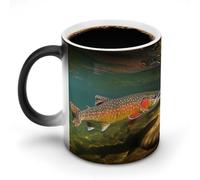 hgyujh Discoloration Mug Color Changing Mugs Brook Trout Fly Fishingprinted Heat Changing Mug Ceramic Heat Sensitive Coffee Cup Add Coffee Or Tea and A Happy Little Scene Appears