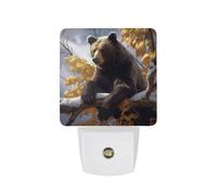 hgyujh Night Lights Plug Into Bear on The Branch Printed Wall Nightlight Dusk to Dawn Night Lamp for Stairway Hallway Bedroom