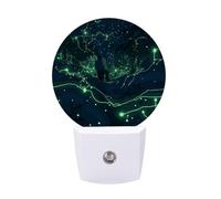 hgyujh Night Lights Plug Into Glow in The Dark Printed Wall Nightlight Dusk to Dawn Night Lamp for Stairway Hallway Bedroom