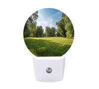 hgyujh Night Lights Plug Into Green Grass in The Park Printed Wall Nightlight Dusk to Dawn Night Lamp for Stairway Hallway Bedroom