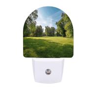 hgyujh Night Lights Plug Into Green Grass in The Park Printed Wall Nightlight Dusk to Dawn Night Lamp for Stairway Hallway Bedroom
