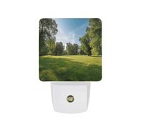 hgyujh Night Lights Plug Into Green Grass in The Park Printed Wall Nightlight Dusk to Dawn Night Lamp for Stairway Hallway Bedroom