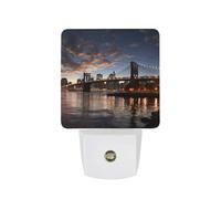 hgyujh Night Lights Plug Into New York Bridge Printed Wall Nightlight Dusk to Dawn Night Lamp for Stairway Hallway Bedroom