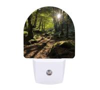 hgyujh Night Lights Plug Into Sunshine in The Woods Printed Wall Nightlight Dusk to Dawn Night Lamp for Stairway Hallway Bedroom