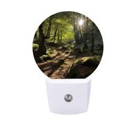 hgyujh Night Lights Plug Into Sunshine in The Woods Printed Wall Nightlight Dusk to Dawn Night Lamp for Stairway Hallway Bedroom