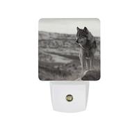 hgyujh Night Lights Plug Into Wolf On The Grass Printed Wall Nightlight Dusk to Dawn Night Lamp for Stairway Hallway Bedroom