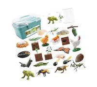 HGZLQKD Animal Life Cycle Toy, Montessori Educational Animal Life Growth Cycle Figure for Party, blue box