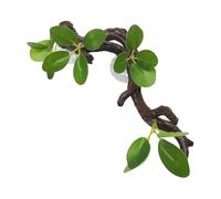 HGZLQKD Climb Tree Branch Decor Gecko Plant Ornament with Suction Cup Decorative Geckos Snake Background Chameleon Reptiles Plants, green leaves