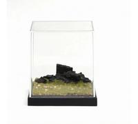 HGZLQKD Grassland Scene Display Mini Diorama With Acrylic Guarding Cover Rectangular Base Landscape With Artificial Grass And Pebble Details Suitable for collectors shelves office decor