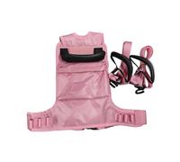 HGZLQKD Kids Snow Ski Harness Children Traction Rope Teach Your Child The Speed Control Snowboard Harness for Winter Activities, Pink