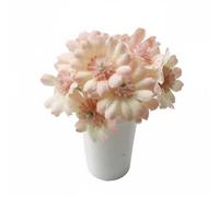 HGZLQKD Miniature Decorative Item Dollhouse Plant Potted Flower Tiny Flower Pot Model Material Compact Design Suitable for OB11 scenes display shelves workspaces, Pink