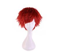 HH Building Fate Stay Night Shirou Emiya Short Curly Anime Cosplay Hair Wig (Red) by HH Building