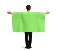 hhbiuuo Wearable Flag Cape with Sleeves,Stadium Supporter Gear&Festival Costume, Solid color light green Print Sports Fan Flag Cloak