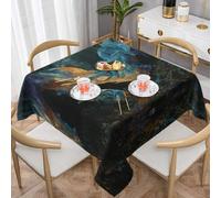 HHGFASD Aurora tulle Pattern Square Decorative Tablecloth 60"x60" Waterproof, Wrinkle-Resistant, Reusable for Coffee Shops, Buffet, Picnics, Weddings, Parties