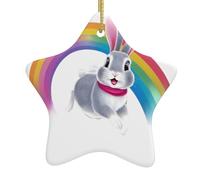 HHGFASD Crossing the rainbow Pattern Christmas Ceramic Star Pendant Festive and Creative Decoration Easy to hang
