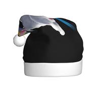 HHGFASD Crossing the rainbow Pattern Christmas Hat for Adult material is soft and lightweight