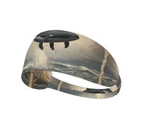 HHGFASD Dolphin flying in the air Pattern Elastic Exercise Headband Sports Head Tie for Men and Women, Soft, Quick-Dry