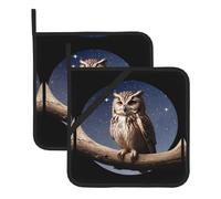 HHGFASD Owl under the moon Pattern Square heat-proof pot holders (set of two) 8x8 in : Quality fabrics, Anti-scalding and easy to clean
