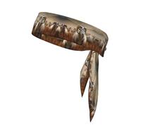 HHGFASD Sheep in the Grasslands Pattern Sports Head Tie Headband for Men and Women, Soft & Breathable Moisture Wicking Athletic