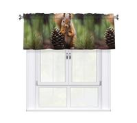 HHGFASD Squirrel holding a pinecone Pattern Curtain Valance 54x18in for Kitchen, Bathroom, Laundry Room, and Studio Decor