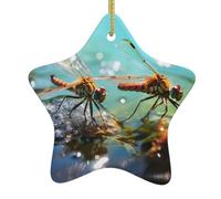 HHGFASD The Quiet Dragonfly Pattern Christmas Ceramic Star Pendant Festive and Creative Decoration Easy to hang