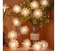 HHMTAKA 20 Warm White LED Indoor White Decorative Flower String Fairy Lights Clear Cable USB Powered 3M Bedroom Home Wedding Valentine Birthday Decoration