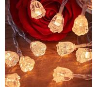 HHMTAKA Indoor Crystal Rose String Fairy Lights Battery Operated 40 Warm White LED 6M Flower Fairy String Lights Blossom Lights for Indoors,Bedroom,Christmas Decoration