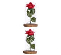 HHRLCH Table lamp in Remembrance Flower Light Girlfriend Flower Romantic Decorations Special Night Romantic for her Flowers Decoration red Rose Decorate Glass Cover Table lamp Household faucets