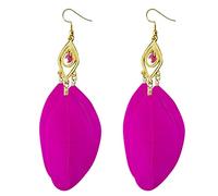 HHRLCHX Star Stud Earrings Style Earrings Retro Fashion Leaves Long Feather Earrings Beach Holiday Style Female Earrings Stone Earrings for Women