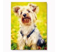 HHWY Custom Canvas Prints Personalized Canvas Wall Art With Your Photo Customized Pet Portrait,Personalized Pet Canvas Print, Custom Canvas Print,Gift for Pet Lover (20X30cm no frame)