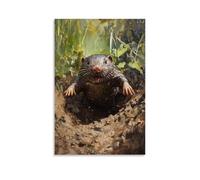 HHYXMJLL Animal Oil Painting- A Mole Surfacing from Underground Into A Mudboard Race Finale Stylish Wall Hanging Art - Decorative Poster Mural12x18inch(30x45cm)
