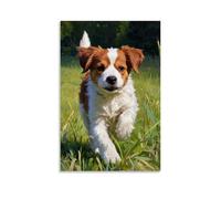 HHYXMJLL Animal Poster Featuring A Running Dog in Grass with Very Little Eyes Stylish Wall Hanging Art - Decorative Poster Mural12x18inch(30x45cm)