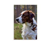 HHYXMJLL Animal Poster of An Australian Shepherd Dog in A Field with Wild Grass Stylish Wall Hanging Art - Decorative Poster Mural24x36inch(60x90cm)