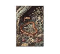 HHYXMJLL Victorian-Era Illustration of A Majestic Slow Worm in Compost Heap Stylish Wall Hanging Art - Decorative Poster Mural16x24inch(40x60cm)