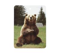 Hi Bear Sit on The Lawn Car Air Freshener Hanging, Long Lasting Scented Car Aromatherapy Tablets, Square Fragrance Scented Cards for Vehicles, Bedroom, Wardrobe Black-style