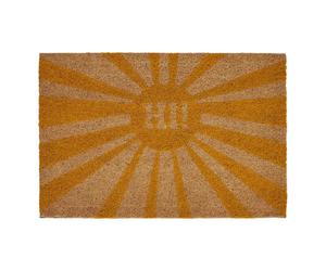 Hi Doormat Eye-catching Sunburst Pattern